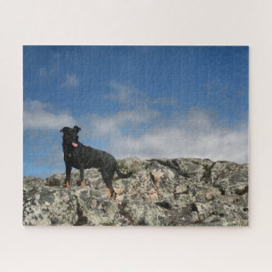 Cute Black Dog Mutt Lab Shephered Afbeelding Foto Legpuzzel