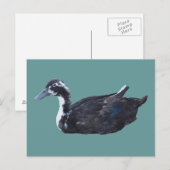 Cute Black Duck Boerderij Animal Briefkaart (Voorkant / Achterkant)