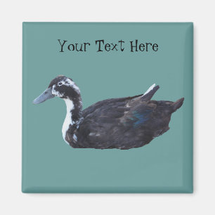 Cute Black Duck Boerderij Animal Magnet Magneet