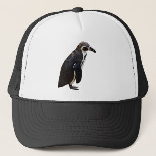 Cute Black en White Humboldt Penguin Pet