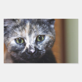 Cute Black en White Kitten Rechthoekige Sticker