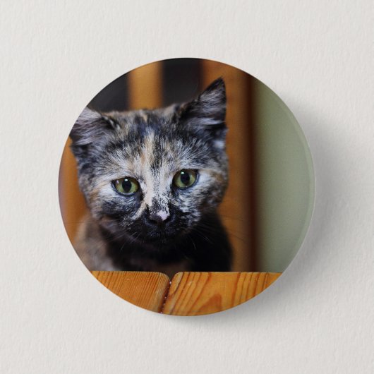 Cute Black en White Kitten Ronde Button 5,7 Cm (Voorkant)