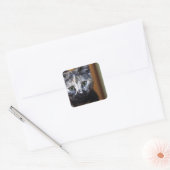 Cute Black en White Kitten Vierkante Sticker (Envelop)