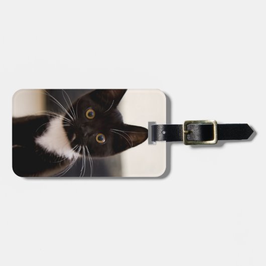 Cute Black en White Tuxedo Kitten Bagagelabel (Voorkant horizontaal)