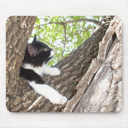 Cute Black en White Tuxedo Kitten Muismat (Voorkant)