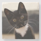 Cute Black en White Tuxedo Kitten Stenen Onderzetter (Voorkant)