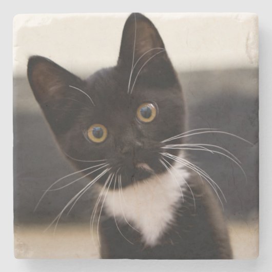 Cute Black en White Tuxedo Kitten Stenen Onderzetter (Voorkant)