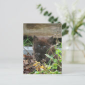 Cute black Kitten Briefkaart (Staand voorkant)
