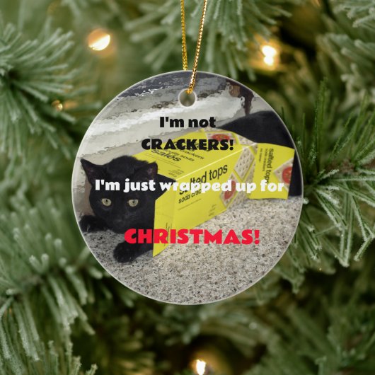 Cute Black Kitten Keramisch Ornament (Boom)