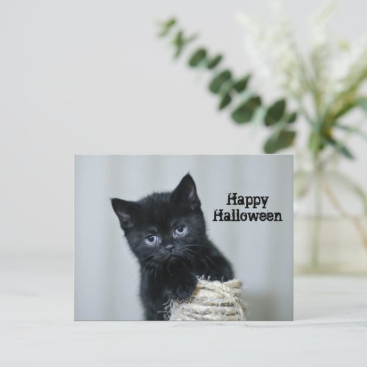 Cute Black Kitten Twine Foto Halloween Briefkaart (Staand voorkant)