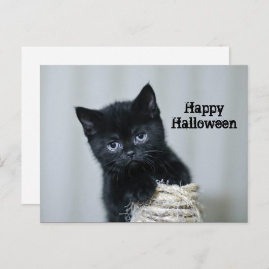 Cute Black Kitten Twine Foto Halloween Briefkaart (Voorkant / Achterkant)