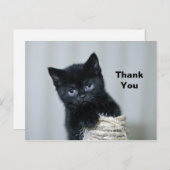 Cute Black Kitten Twine Foto Hartelijk dank Briefkaart (Voorkant / Achterkant)
