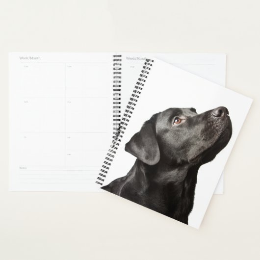 Cute Black Lab Chien Chien Chien Aimant Labrador R (Devant avec enveloppe)