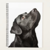 Cute Black Lab Chien Chien Chien Aimant Labrador R (Devant)