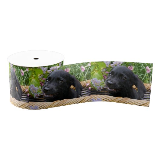 Cute Black Labrador Retriever Dog Puppy Pet Photo Grosgrain Lint (Spoel)