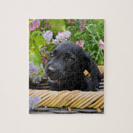 Cute Black Labrador Retriever Dog Puppy Pet Photo Legpuzzel