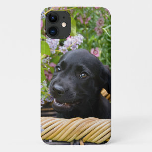 Cute Black Labrador Retriever Dog Puppy Photo * iPhone 11 Hoesje