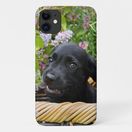 Cute Black Labrador Retriever Dog Puppy Photo * Case-Mate iPhone Case (Achterkant)