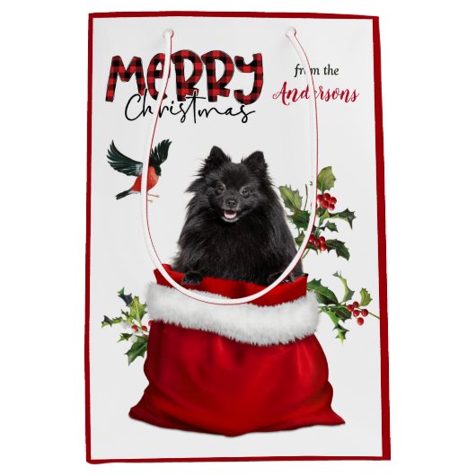 Cute Black Pomeranian Dog Kerstmis Medium Cadeauzakje (Voorkant)