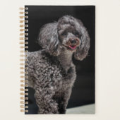 Cute Black Poodle Dog Head glimlachen Planner (Voorkant)