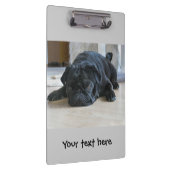 Cute Black Pug Puppy Cliboard Klembord (Rechts)