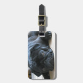 Cute Black Pug Sleeping Bagagelabel (Voorkant verticaal)