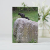Cute Black Squirrel op een Rock Natuur Squirrels Bedankkaart (Staand voorkant)