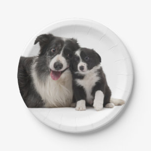 Cute Black White Puppy Dog Border Collie Party Papieren Bordje