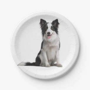 Cute Black White Puppy Dog Border Collie Party Papieren Bordje