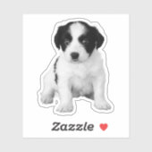 Cute Black White Puppy Photo Sticker (Vel)