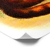  Cute Black White Sinaasappel Kittens 2 Poster (Hoek)