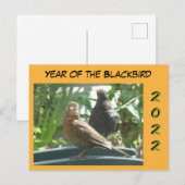 Cute Blackbird Pair Year 2022 Cust. Briefkaart (Voorkant / Achterkant)