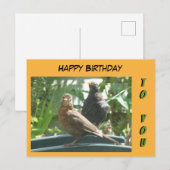 Cute Blackbirds Paar Happy Birthday Klant. Briefka Briefkaart (Voorkant / Achterkant)