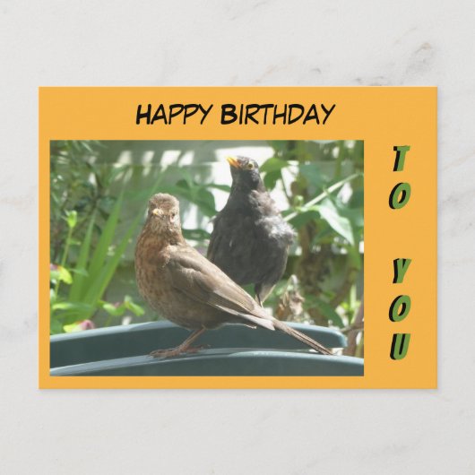 Cute Blackbirds Paar Happy Birthday Klant. Briefka Briefkaart (Voorkant)