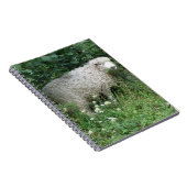 Cute Blanc Fluffy Sheep Manger Carnet (Côté Droit)