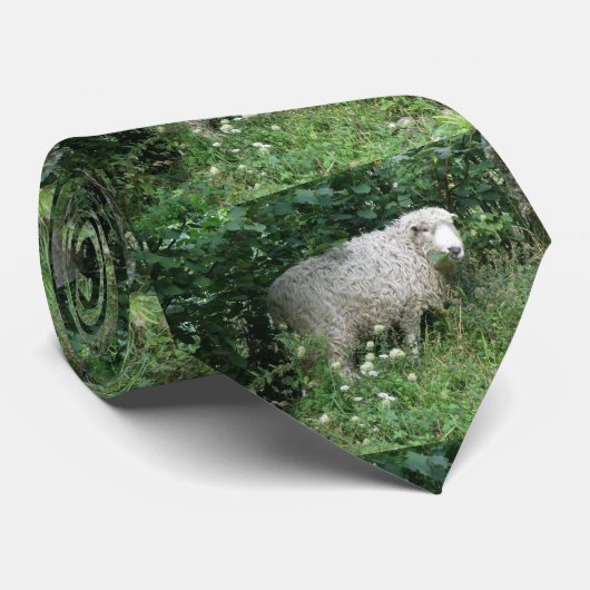 Cute Blanc Fluffy Sheep Manger Cravate (Roulé)