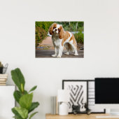 Cute Blenheim Cavalier King Charles Spaniel Puppy Poster (Thuiskantoor)
