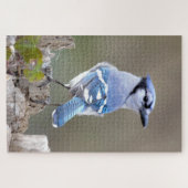 Cute Bleu Jay Songbird sur Treestump Jigsaw Puzzle (Horizontal)