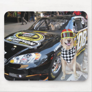 Cute Blonde Posing by Fast Car Muismat