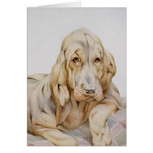 Cute Bloodhounds, Puppy Dogs door EJ Detmold