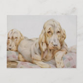 Cute Bloodhounds, Puppy Dogs door EJ Detmold Briefkaart (Voorkant)