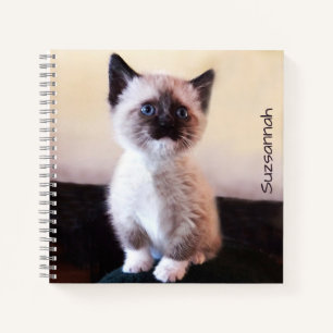 Cute Blue Eyed Pet Siamese Kitten Placeholder Notitieboek