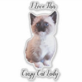 Cute Blue Eyed Siamese Kitten Custom Sticker (Voorkant)