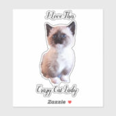Cute Blue Eyed Siamese Kitten Custom Sticker (Vel)