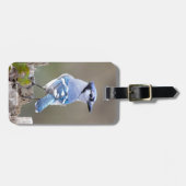 Cute Blue Jay Songbird on Treestump Bagagelabel (Voorkant horizontaal)