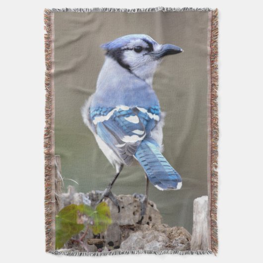 Cute Blue Jay Songbird on Treestump Deken (Voorkant Verticaal)