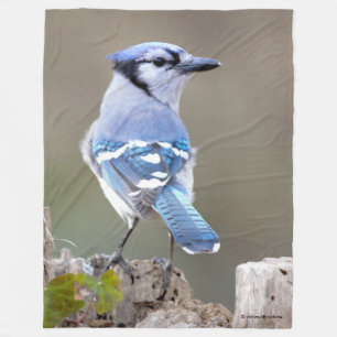 Cute Blue Jay Songbird on Treestump Fleece Deken