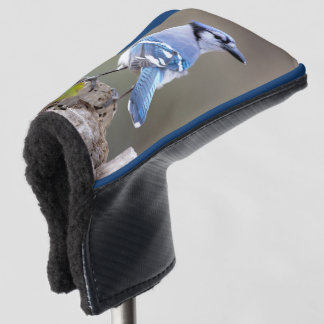 Cute Blue Jay Songbird on Treestump Golfheadcover