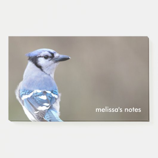 Cute Blue Jay Songbird on Treestump Post-it® Notes (Voorkant)