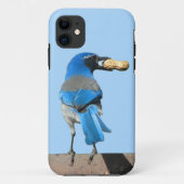 Cute Blue Scrub Jay Bird & Peanut Case-Mate iPhone Case (Achterkant)